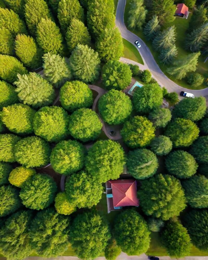 800x1080